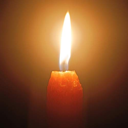 Photo #11938100