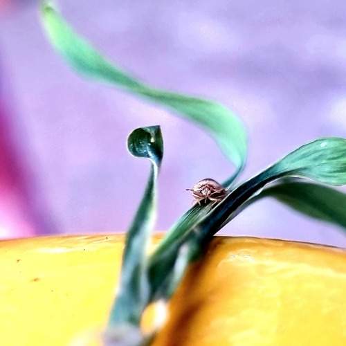 Photo #11938289