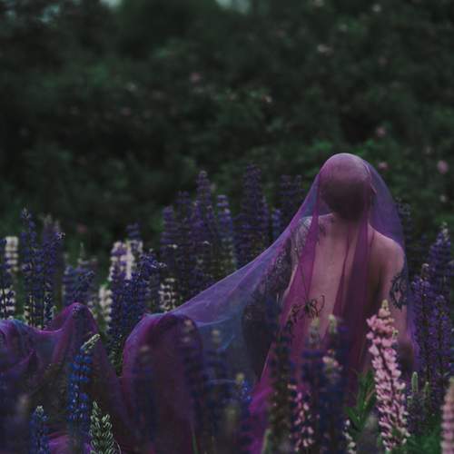 Photo #11938406