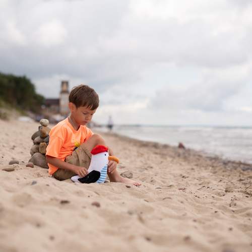 Photo #11938789