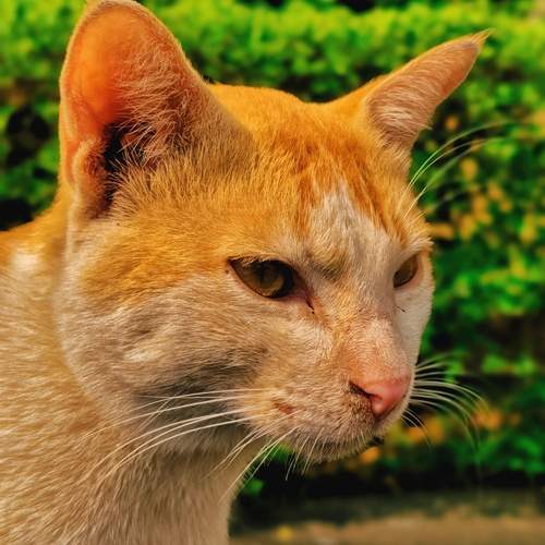 Photo #11938827