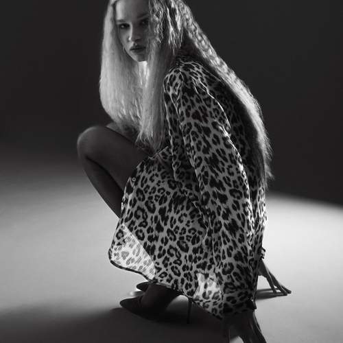 Photo #11938841