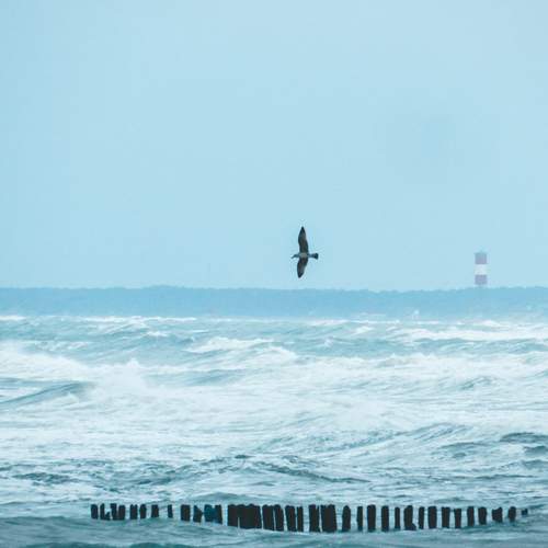 Photo #11939174