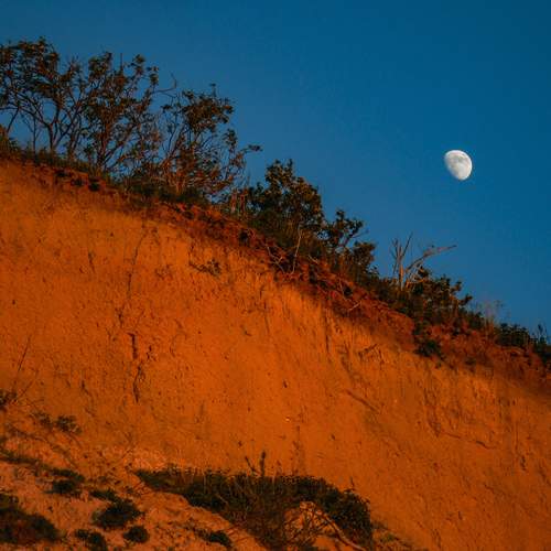 Photo #11939177