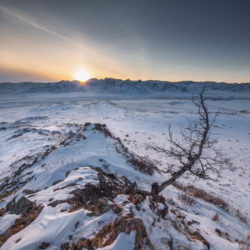 Photo #11939534