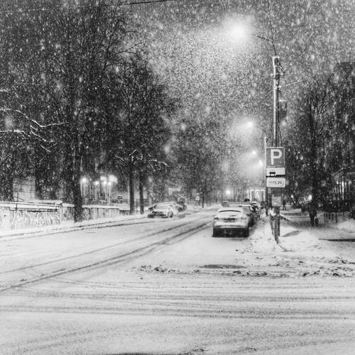 Photo #11939813