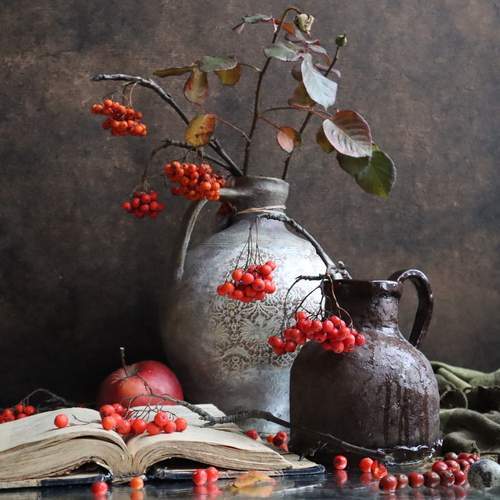 Photo #11939925