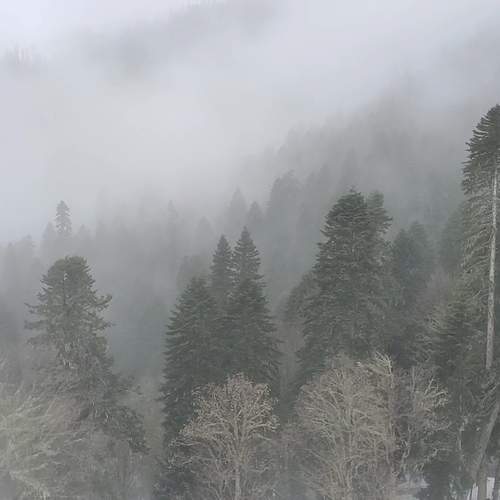 Photo #11939927