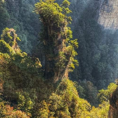 Photo #11940123