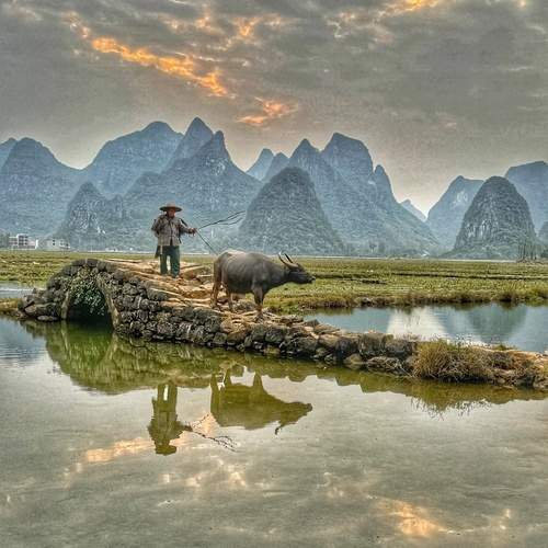 Photo #11940137