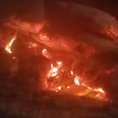 Photo #11940226