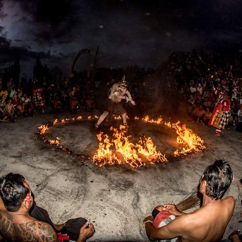 Photo #11940283