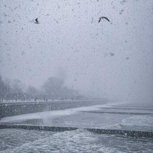 Photo #11940550