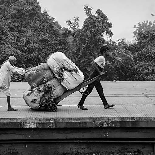 Photo #11940622