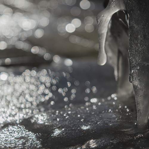 Photo #11940668
