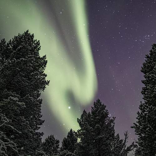Photo #11940867