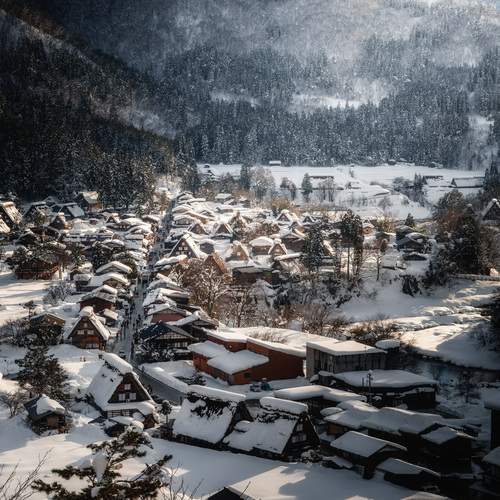 Фотография #11940896