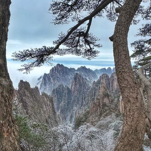 Photo #11940973