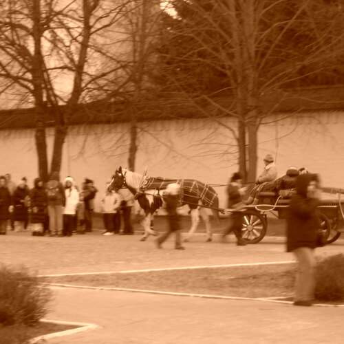 Photo #11941007