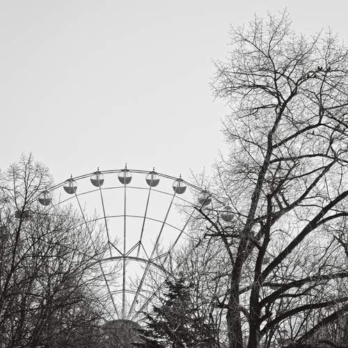 Photo #11941318