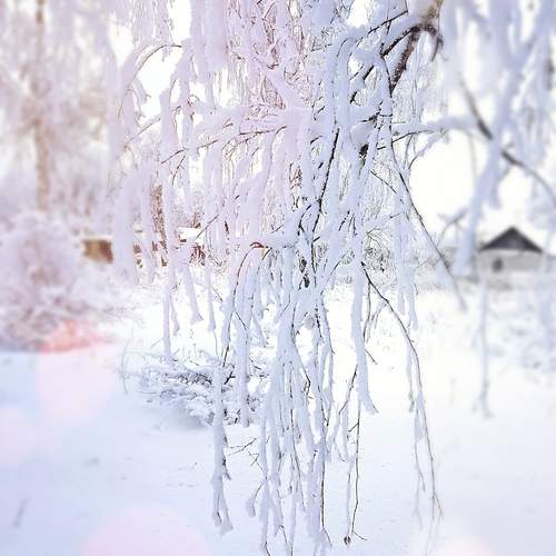 Photo #11941463