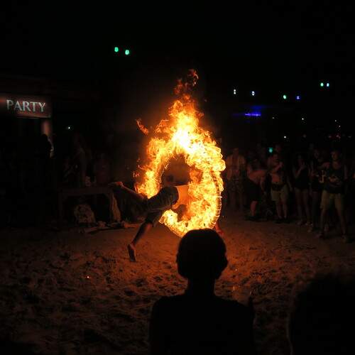 Photo #11941578