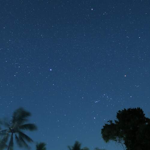 Photo #11941598
