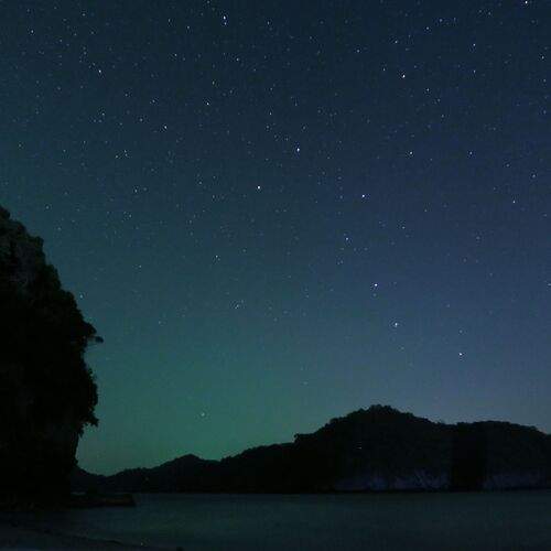 Photo #11941606