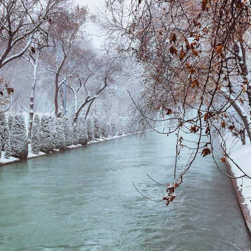 Photo #11941661