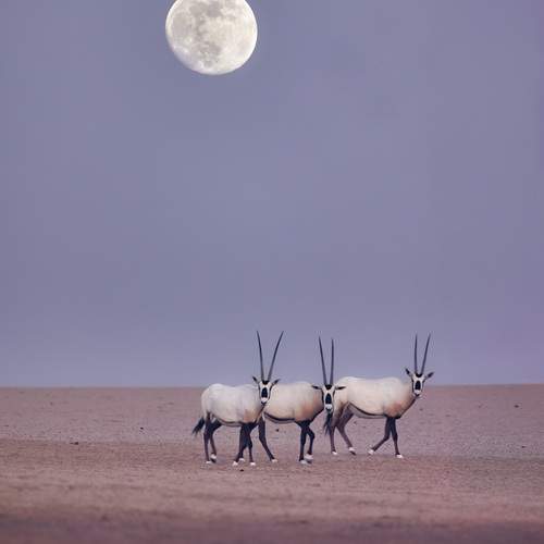 From extinction to resilience