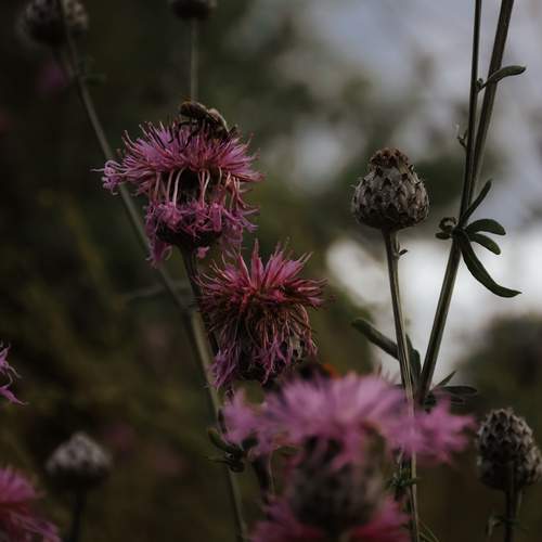Photo #11941859