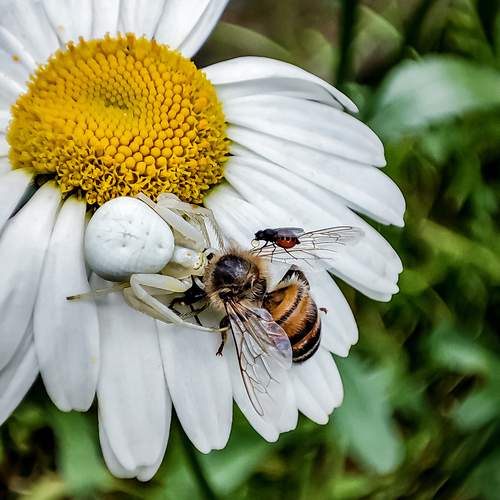 Photo #11942071