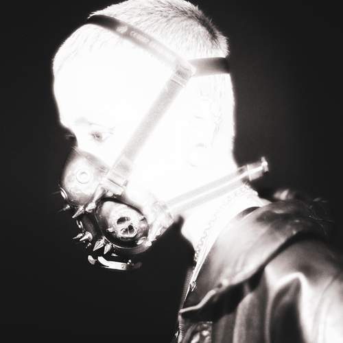 Photo #11942173
