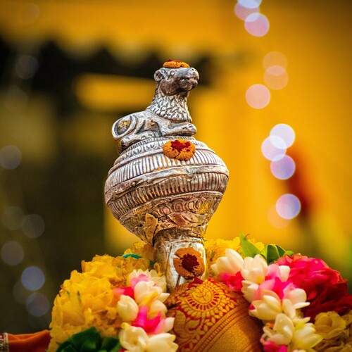 Фотография #11942250