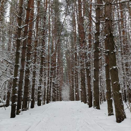 Photo #11942287