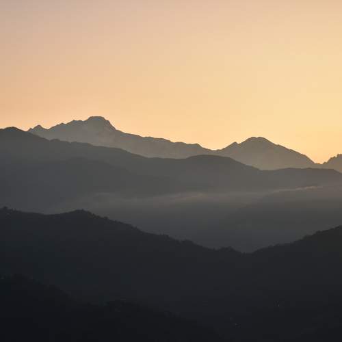 Photo #11942332