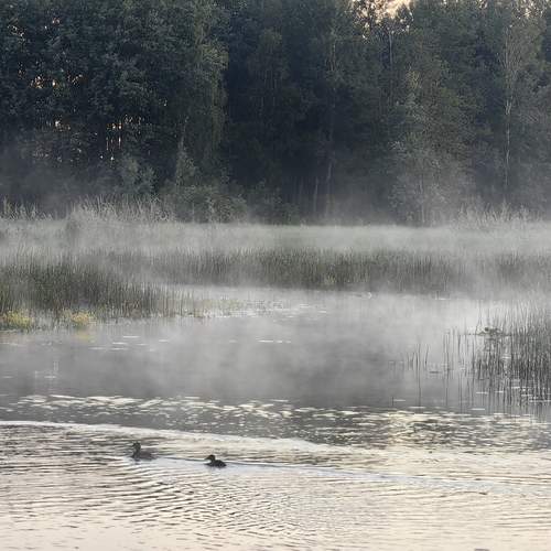 Photo #11942450