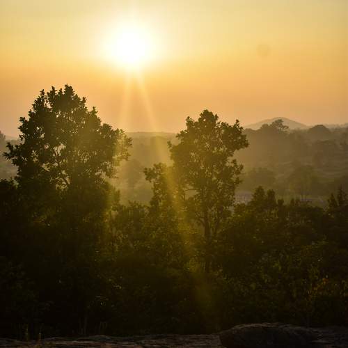 Photo #11942617