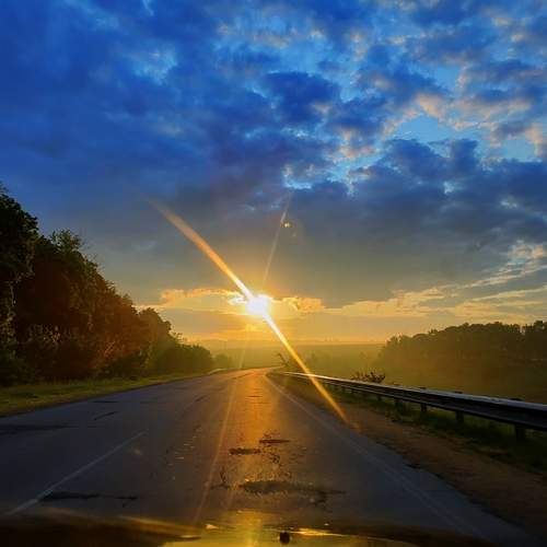 Photo #11942827