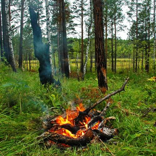 Photo #11942908