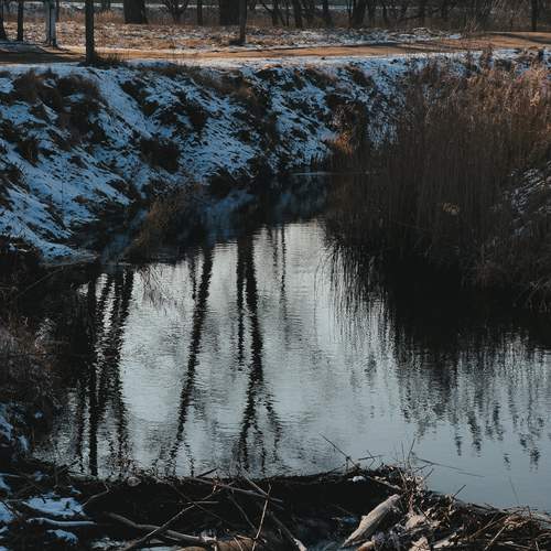 Photo #11942949