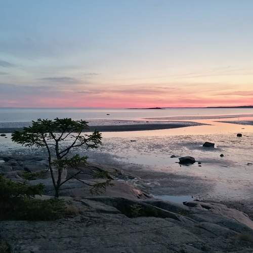 Photo #11942976