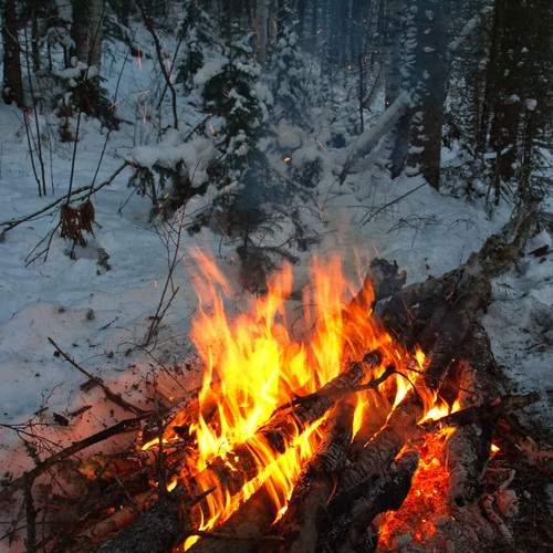 Photo #11943006