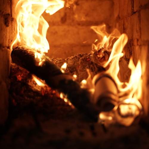 Photo #11943225