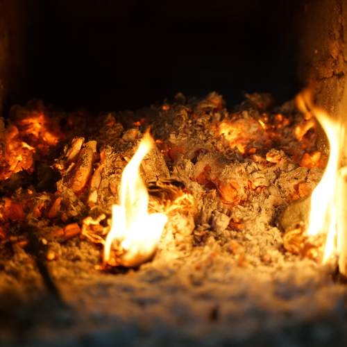 Photo #11943226