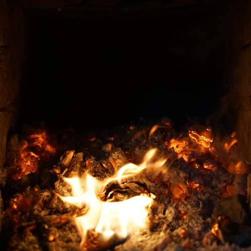 Photo #11943229