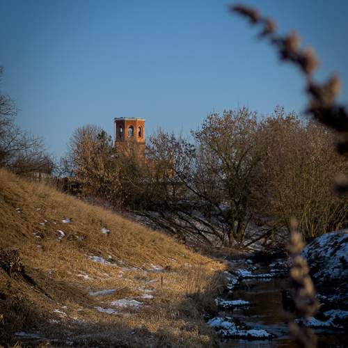 Photo #11943340