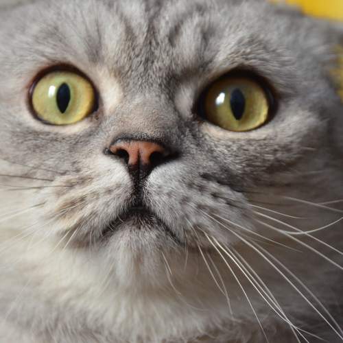 Photo #11943434