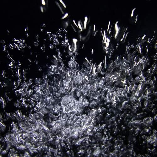Photo #11943551