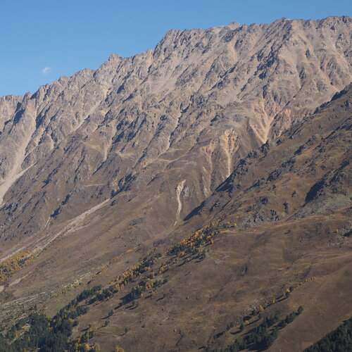 Photo #11943576